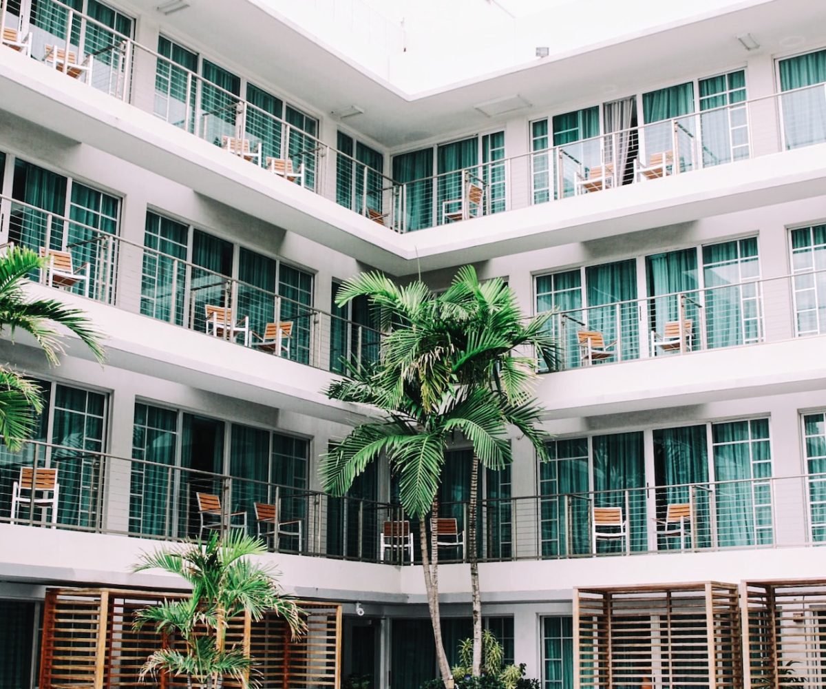 coconut palm trees in hotel lobby