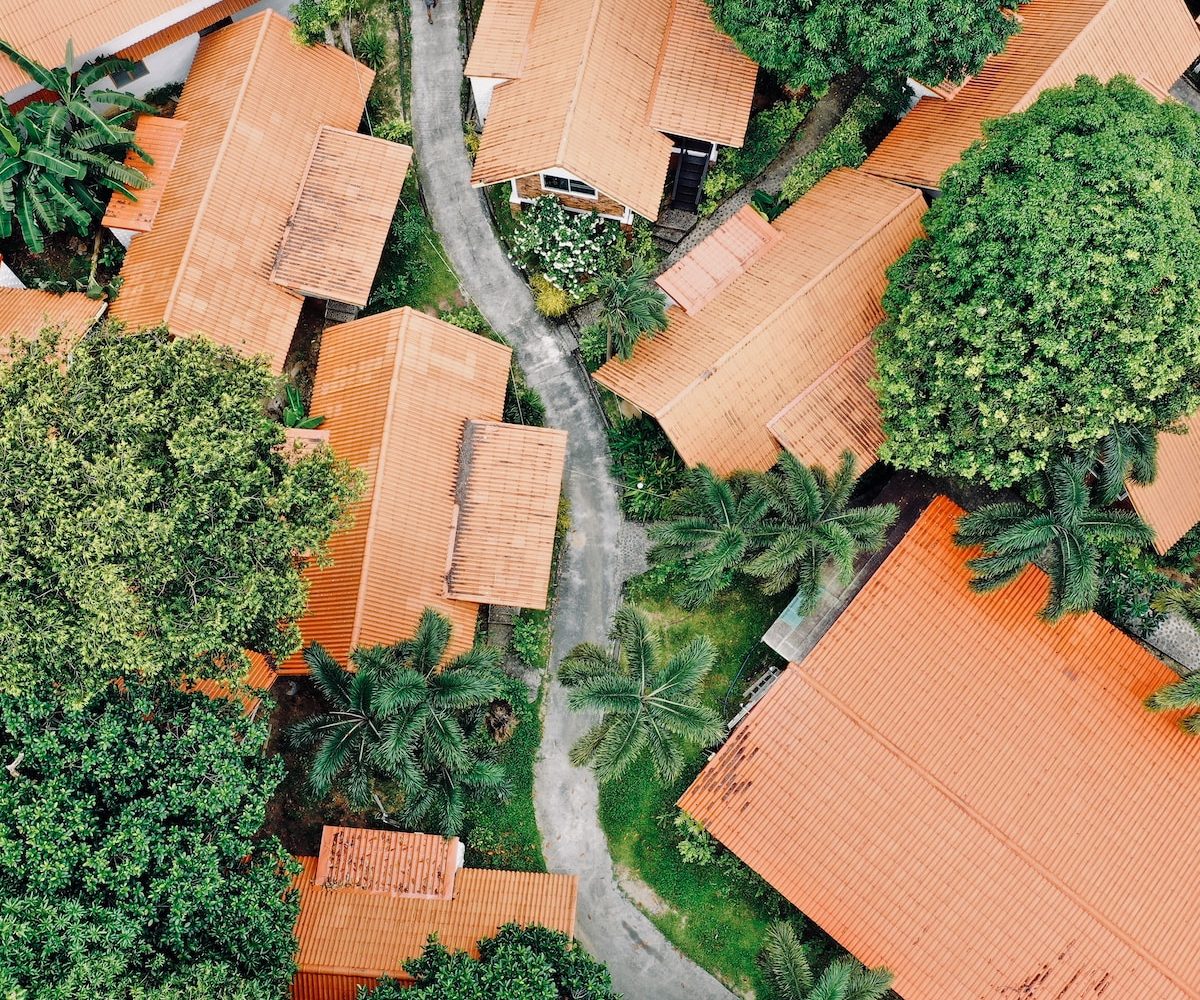 aerial photo of houses near green trees during daytime