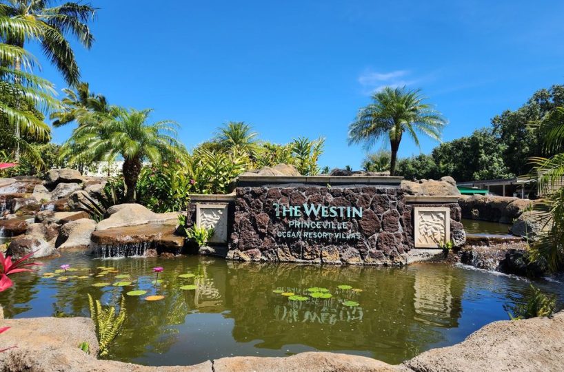 3838 Wyllie Road Vistana