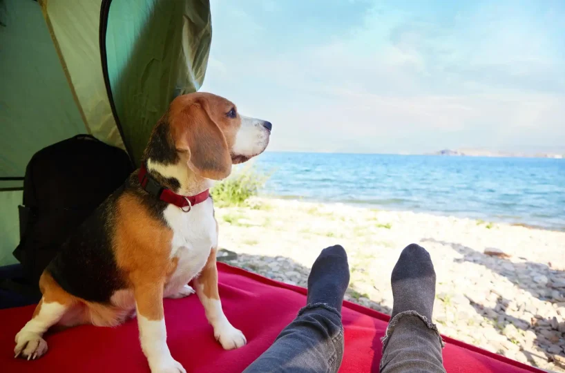 Pet-friendly US vacation hiking trail